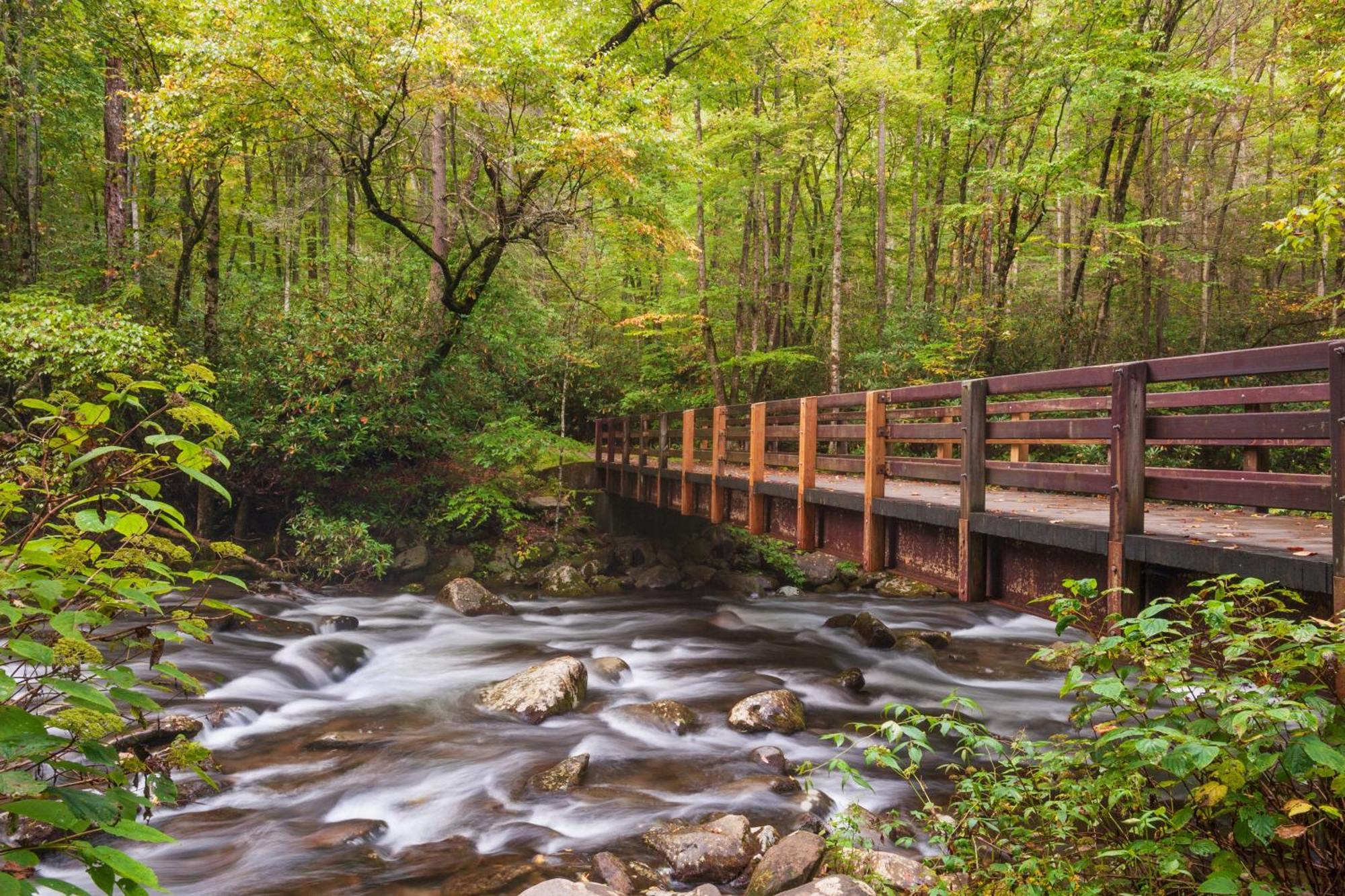 Smoky Bear Lodge With Guest House, Hot Tub, 1089 Free Tickets Each Paid Day, Dollywood And More Sevierville Exteriör bild