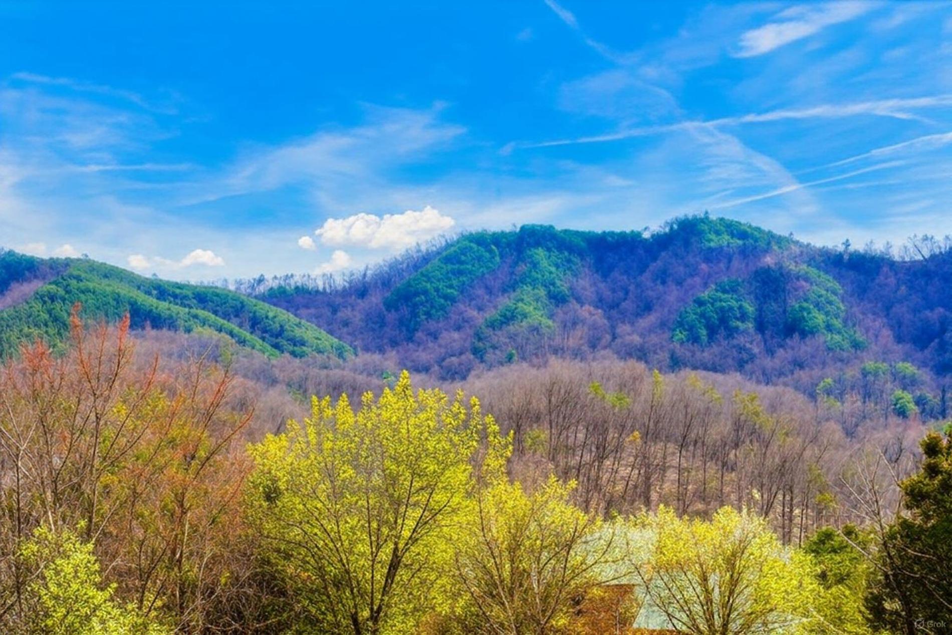 Smoky Bear Lodge With Guest House, Hot Tub, 1089 Free Tickets Each Paid Day, Dollywood And More Sevierville Exteriör bild