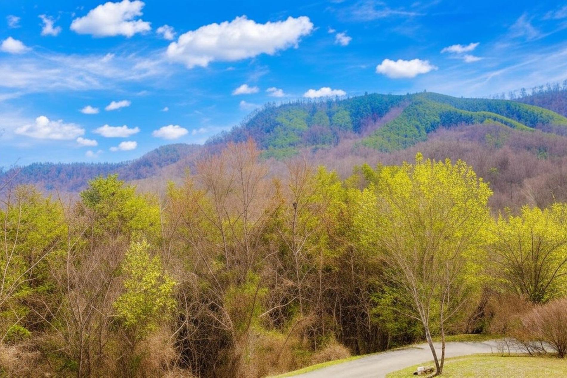 Smoky Bear Lodge With Guest House, Hot Tub, 1089 Free Tickets Each Paid Day, Dollywood And More Sevierville Exteriör bild